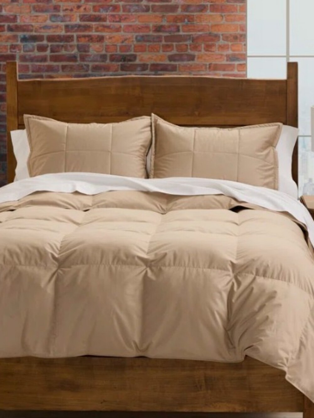 Cuddledown Chroma Down Alternative Comforter Queen Color: Sand